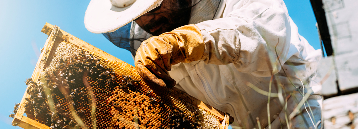 Murtfeldt Kunststoffe unterstützt das Natur und Umweltprojekt Bienenprojekt Frankenland. Ein Hilfsprojekt des Imkervereins Hersbruck e.V unter dem Motto 