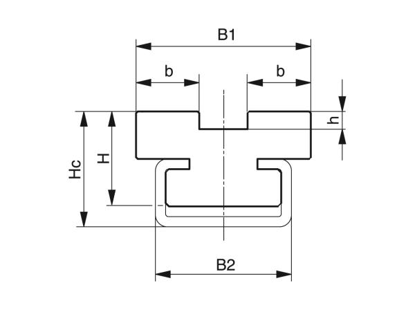 Tipo CT-Doppio - Guide per catene a rulli - Murtfeldt GmbH Kunststoffe - Technische Zeichnung 1