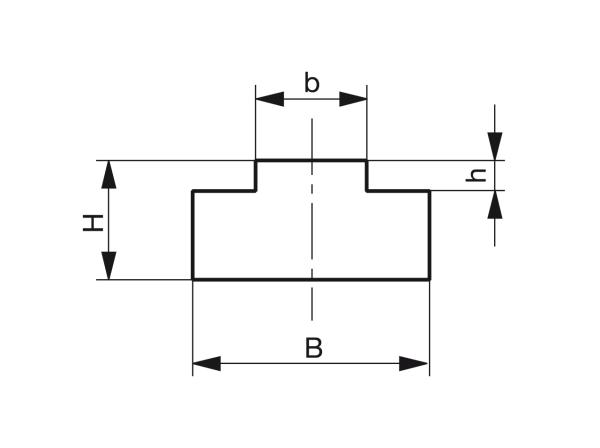 Tipo T - Guide per catene a rulli - Murtfeldt GmbH Kunststoffe - Technische Zeichnung 1