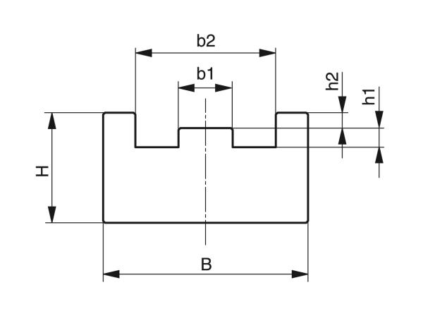 Tipo TS - Guide per catene a rulli - Murtfeldt GmbH Kunststoffe - Technische Zeichnung 1