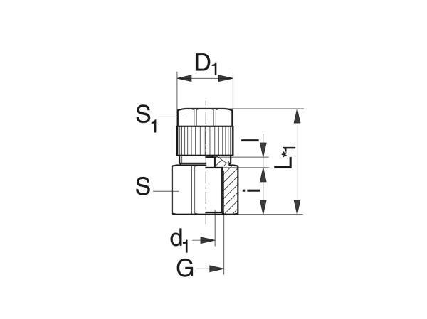 Gerade Aufschraub-Verschraubung für Schlauch - Schmiersysteme Verschraubungen - Murtfeldt GmbH Kunststoffe - Technische Zeichnung 1